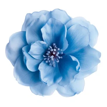 Flower PFP Blue