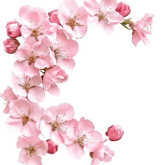 Flower PFP Border