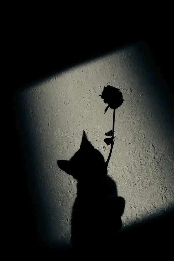 Flower PFP Dark