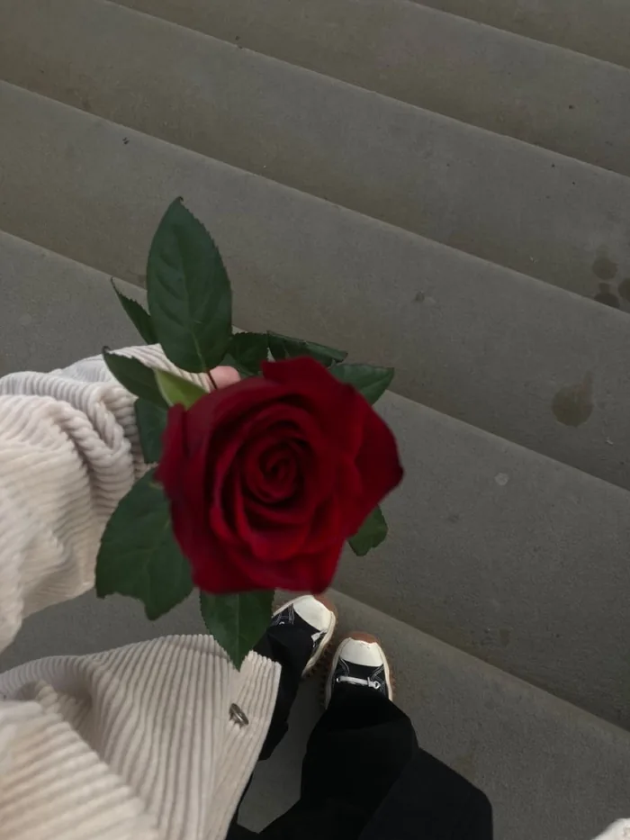 Flower PFP For Instagram