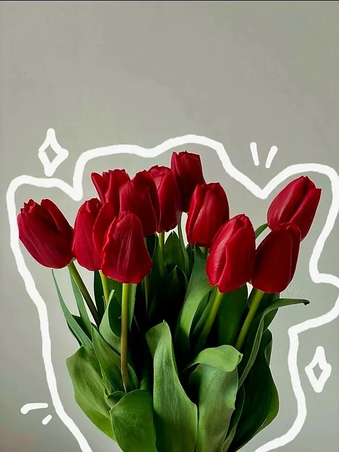 Flower PFP For Instagram