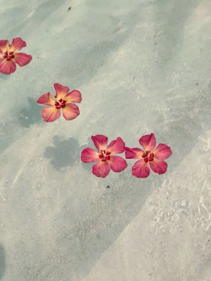 Flower PFP Pinterest