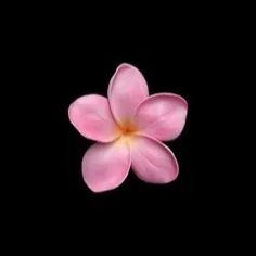 Flower PFP TikTok