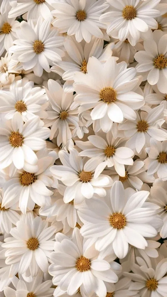 Flower PFP Wallpaper