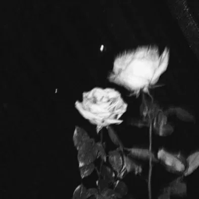 Flower PFP Y2K