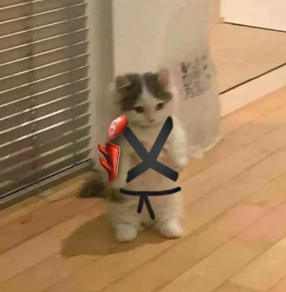 Fortnite PFP Cat