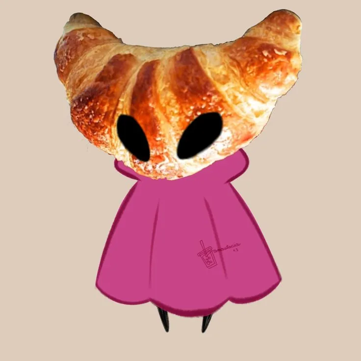 Funny Hollow Knight PFP