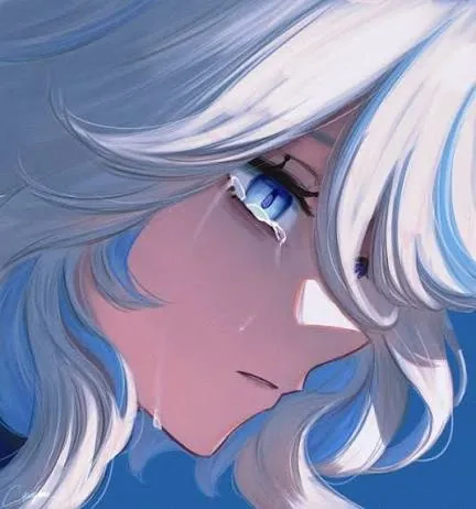 Furina Pfp Meme