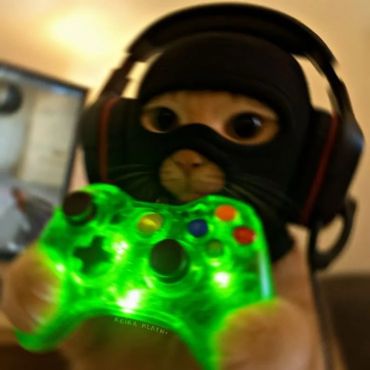 Gaming Discord PFP