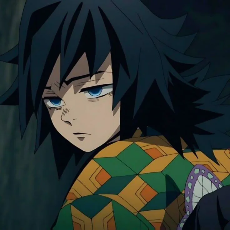 Giyu Tomioka PFP Anime Profile