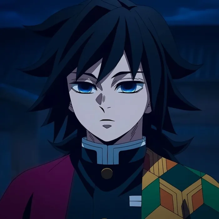 Giyu Tomioka PFP Anime Profile
