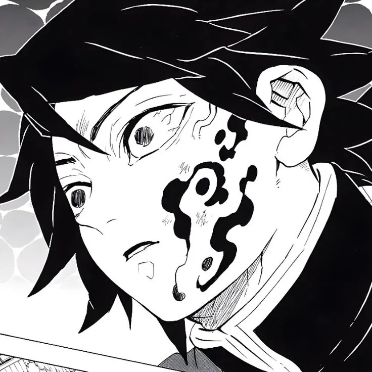 Giyu Tomioka Pfp Black And White