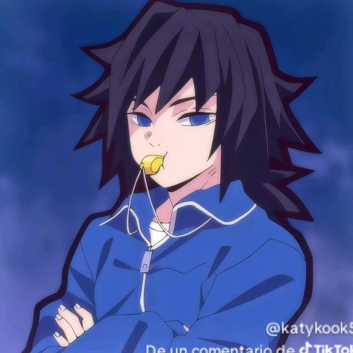 Giyu Tomioka Pfp Funny