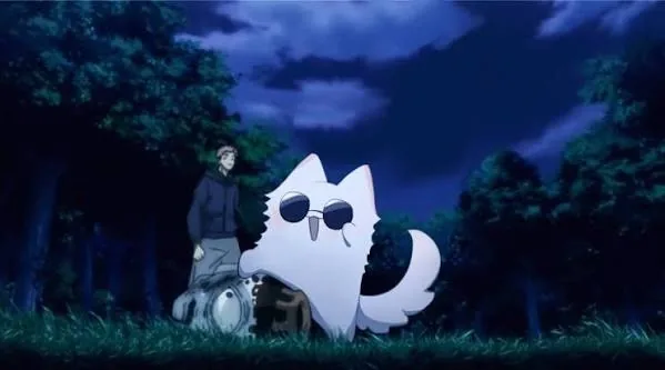 Gojo Pfp Cat