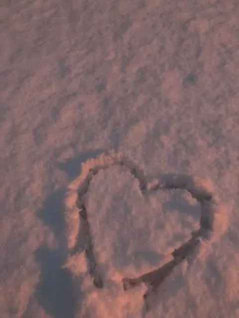 Heart Aesthetic PFP