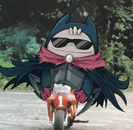 Hollow Knight PFP Funny