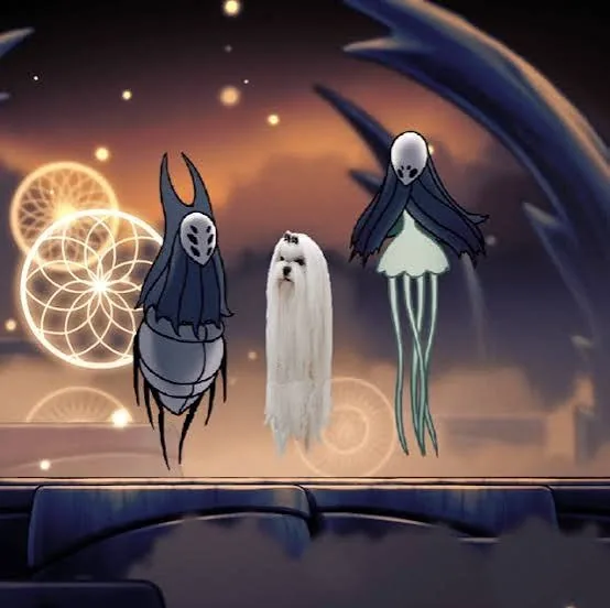 Hollow Knight PFP Funny