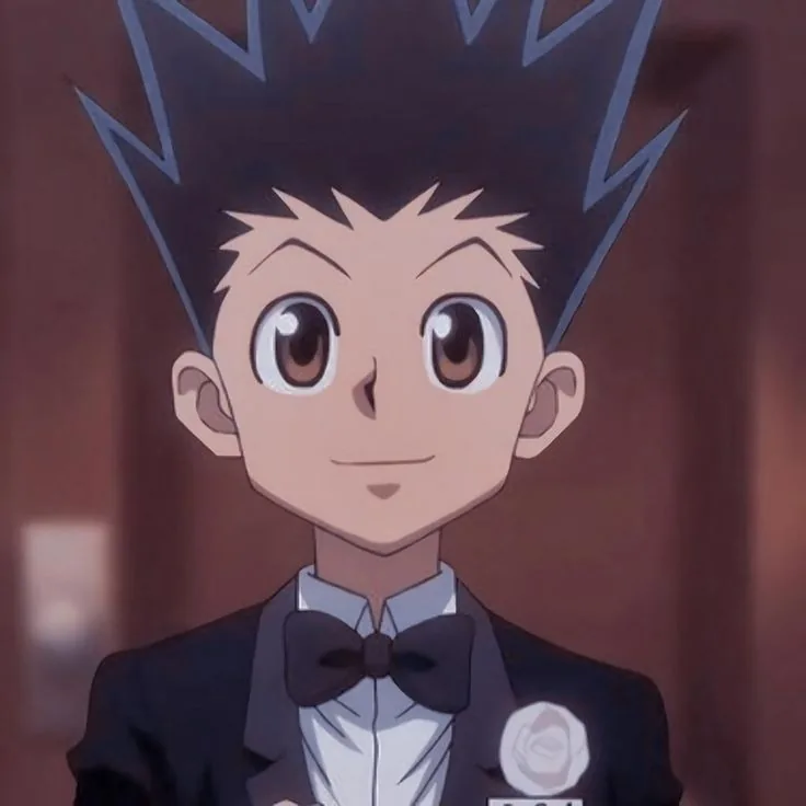 Hunter x hunter pfp