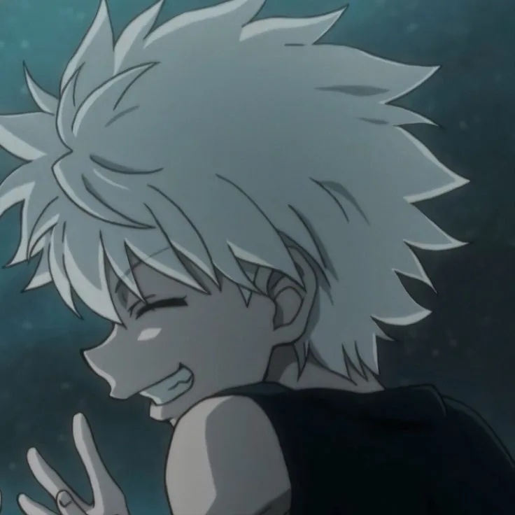 Hunter x hunter pfp