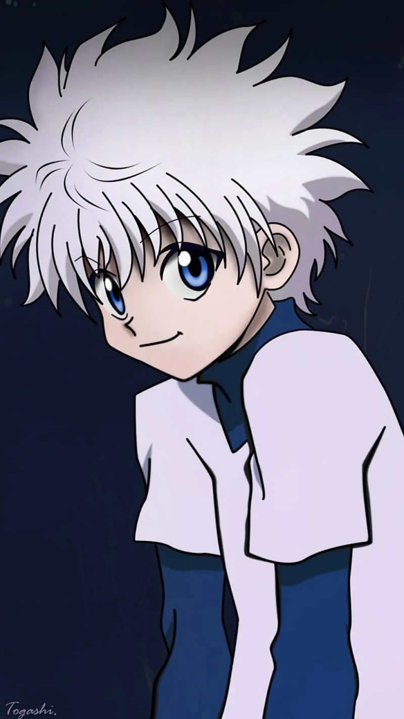Hunter x hunter pfp