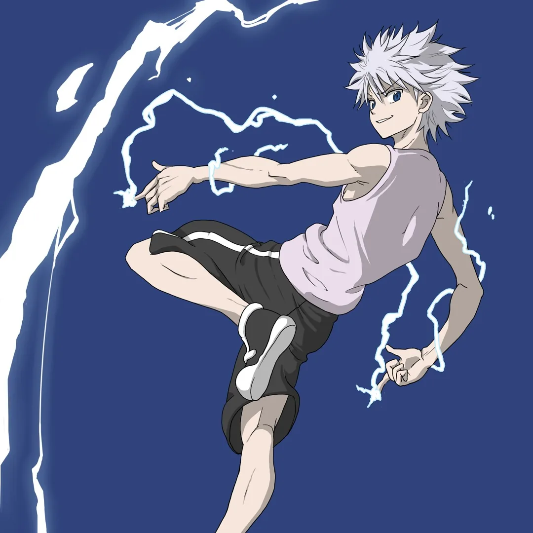 Hunter x hunter pfp