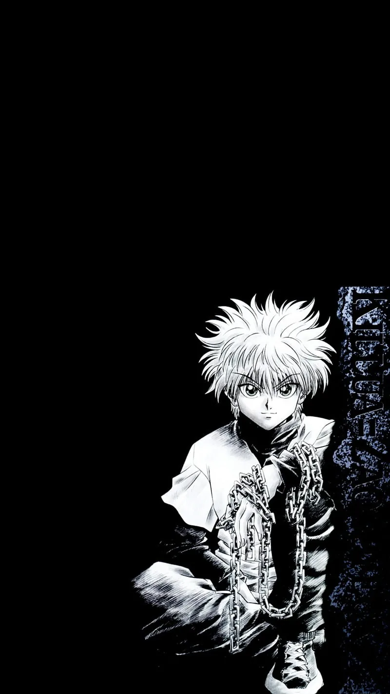Hunter x hunter pfp