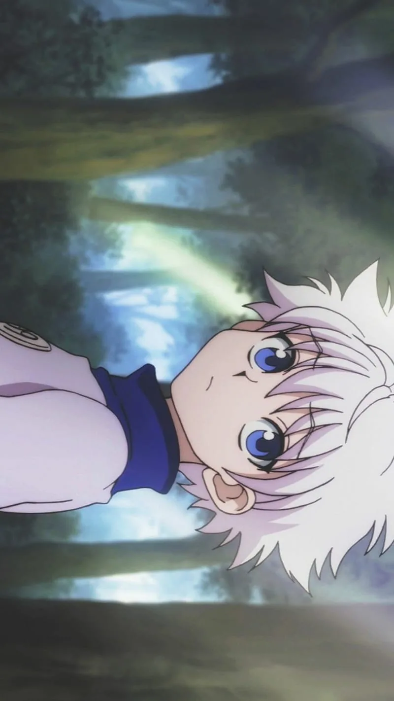 Hunter x hunter pfp