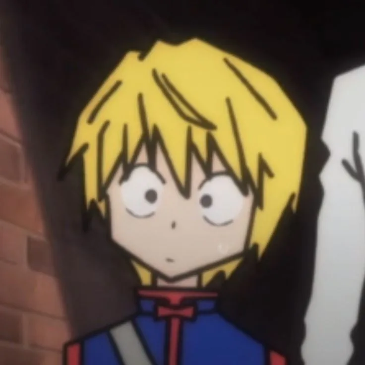 Hunter x hunter pfp