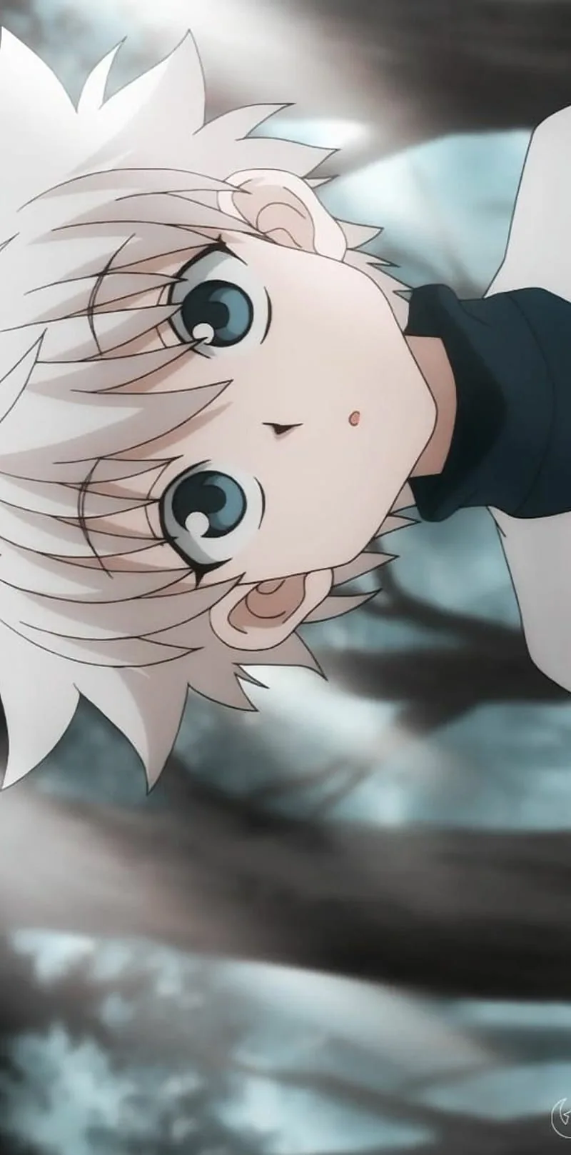 Hunter x hunter pfp