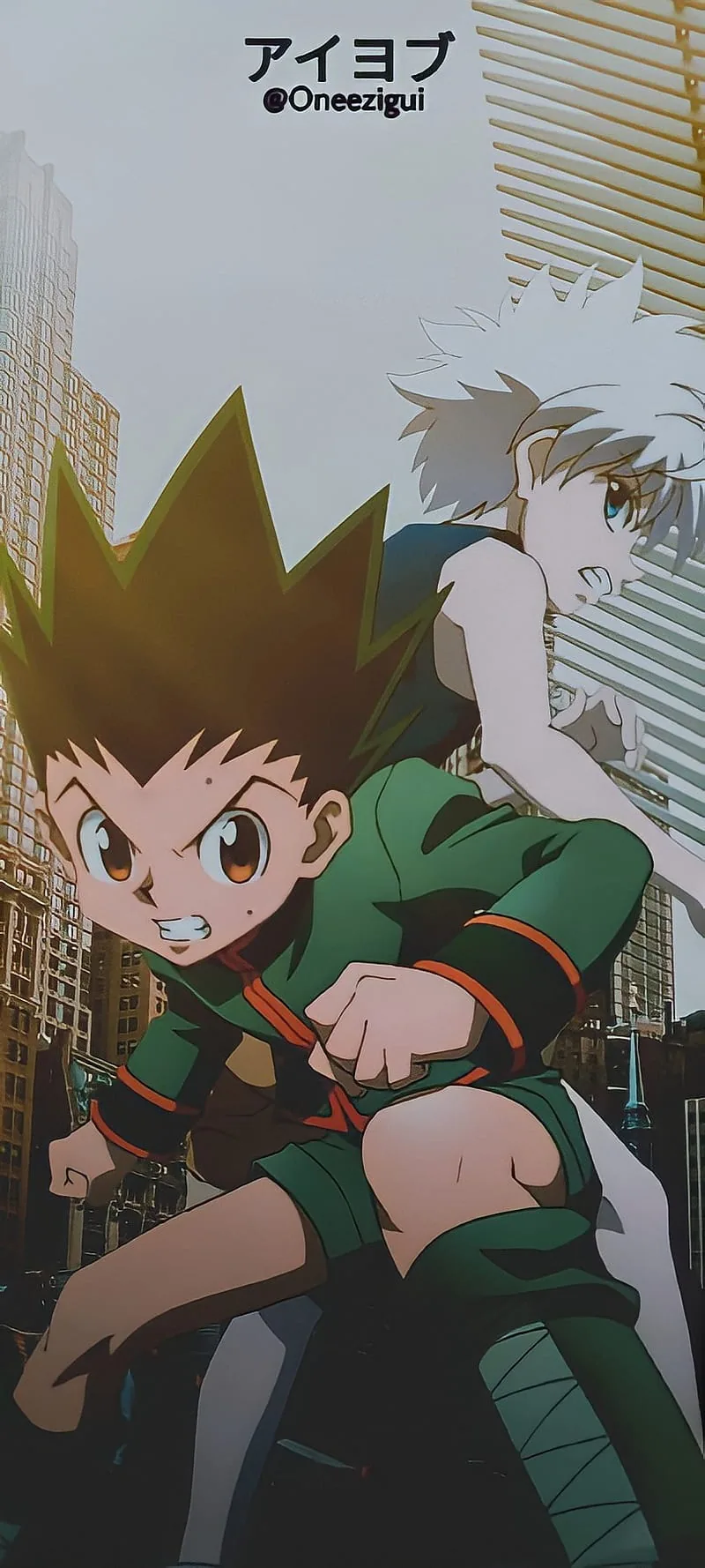 Hunter x hunter pfp