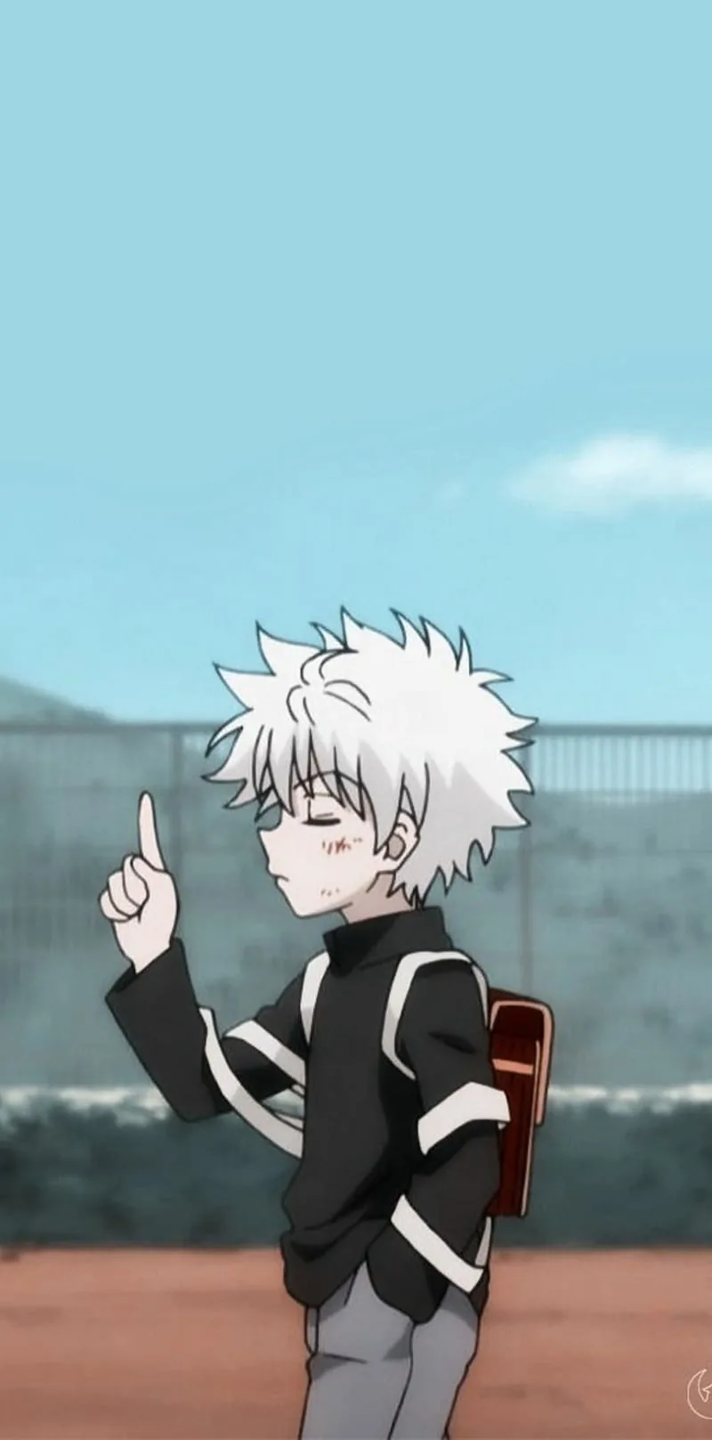 Hunter x hunter pfp