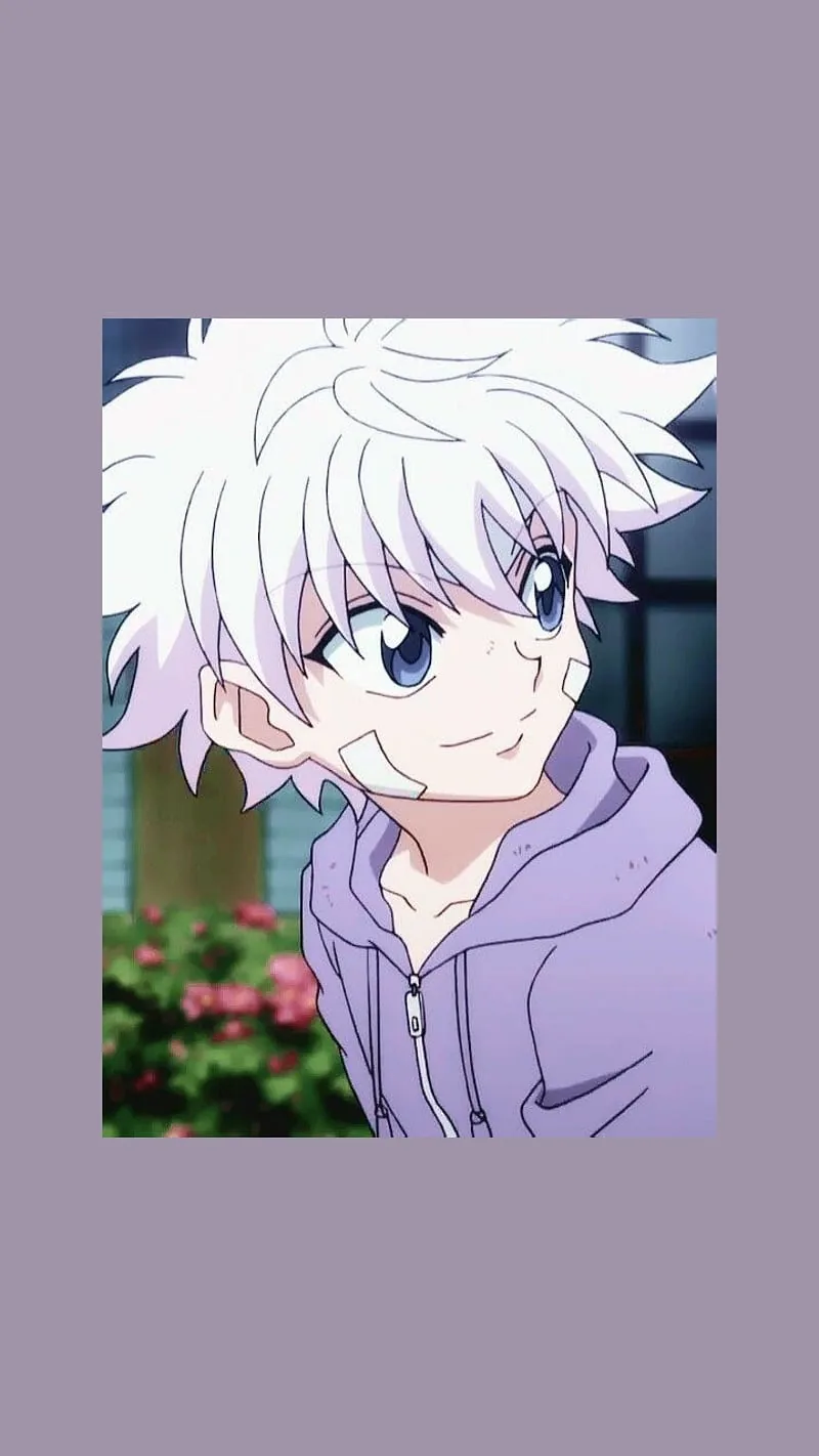 Hunter x hunter pfp