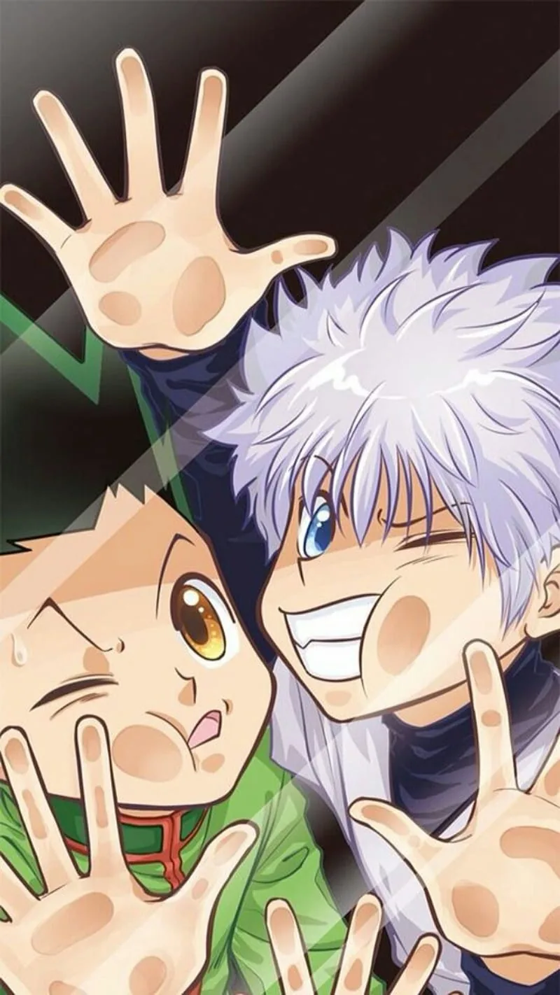 Hunter x hunter pfp