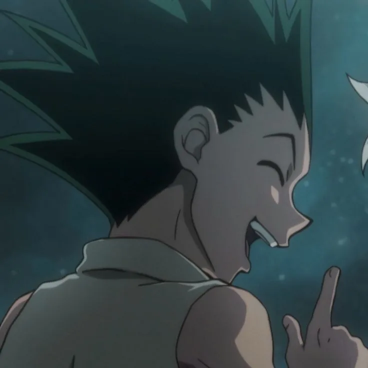 Hunter x hunter pfp