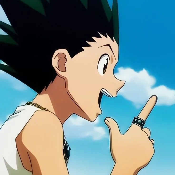 Hunter x hunter pfp
