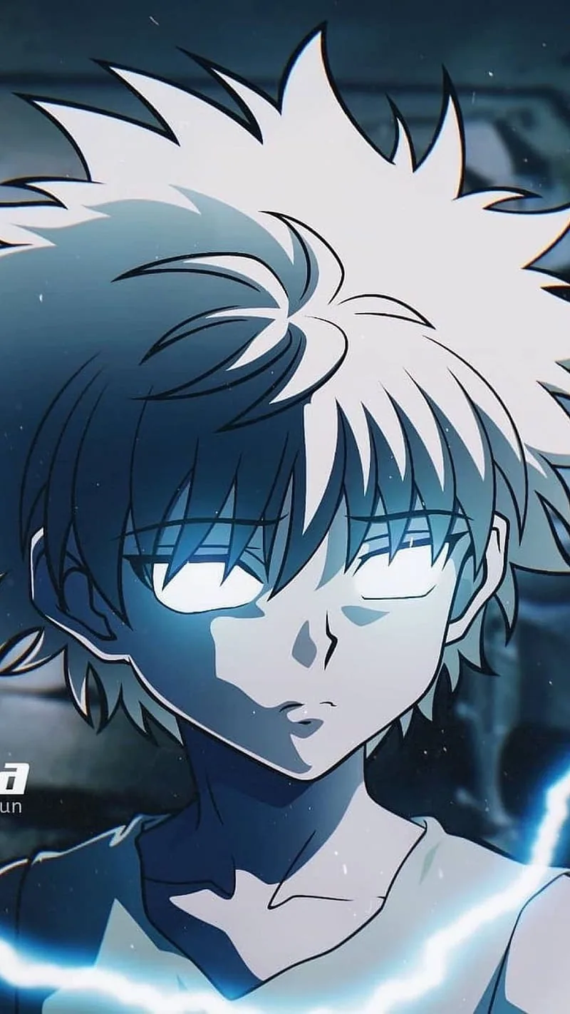 Hunter x hunter pfp