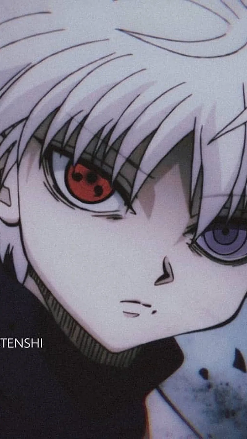 Hunter x hunter pfp