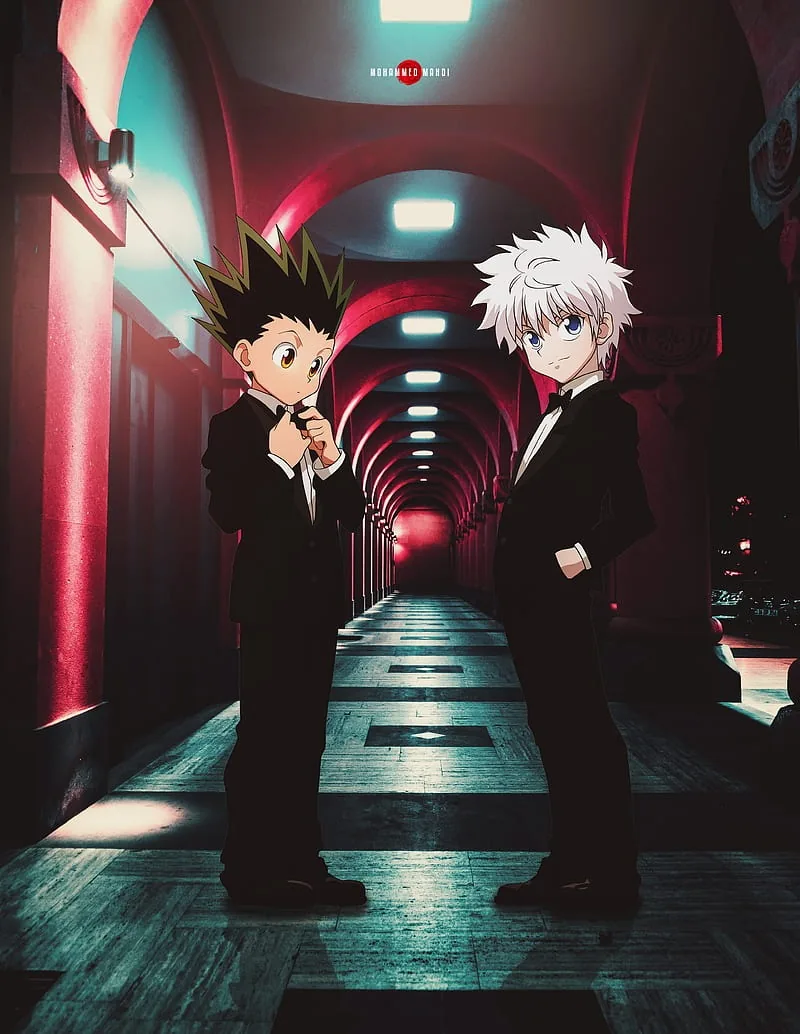 Hunter x hunter pfp
