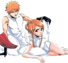 Ichigo and Orihime Matching PFP