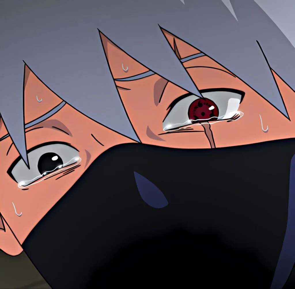 Kakashi PFP Sad