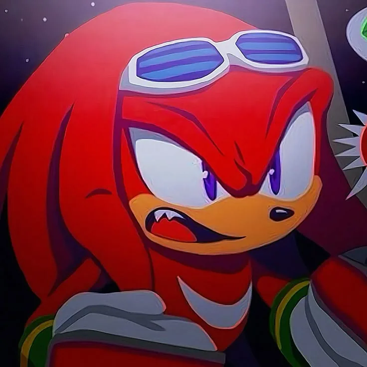 Knuckles PFP Aesthetic