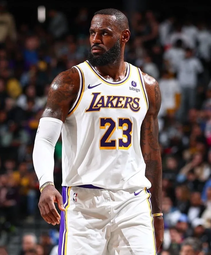 LeBron PFP Basketball