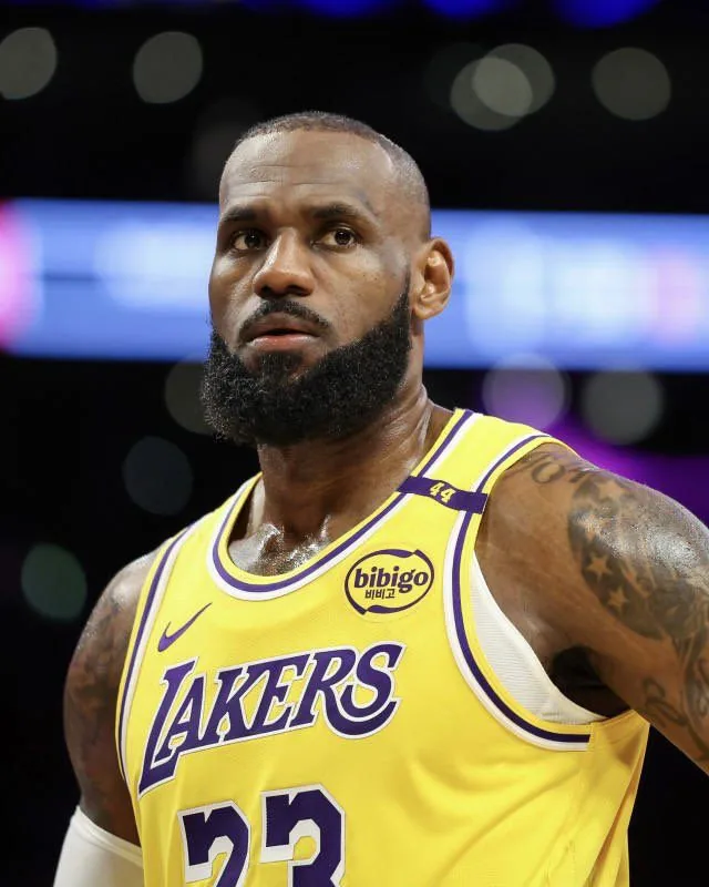 LeBron PFP Lakers