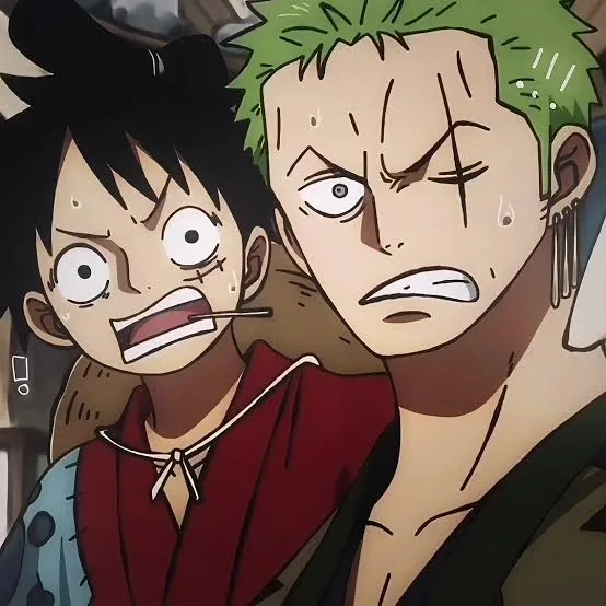 Luffy And Zoro PFP