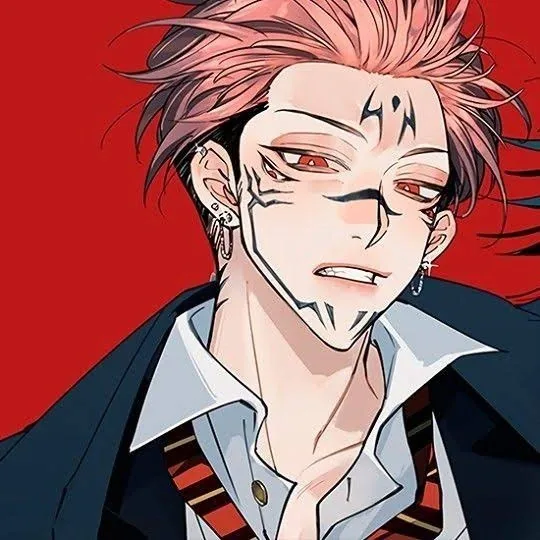 Megumi X Sukuna PFP