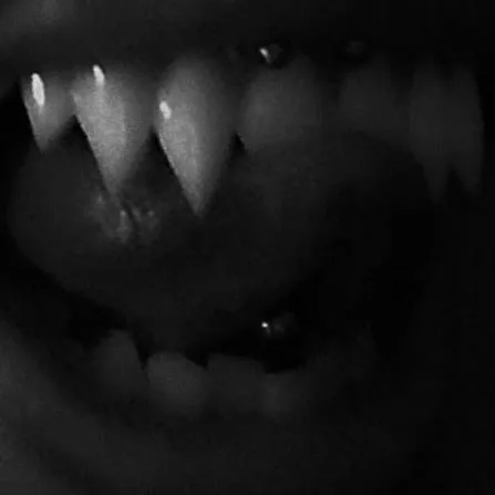 Opium PFP Vampire