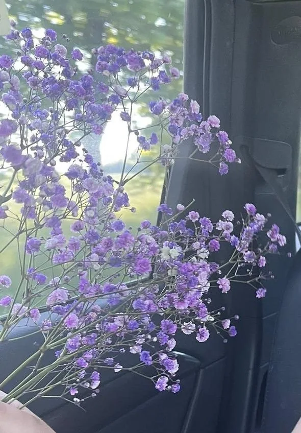 Purple Flower PFP