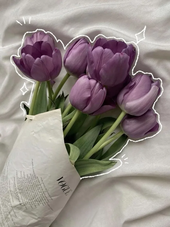 Purple Flower PFP Aesthetic