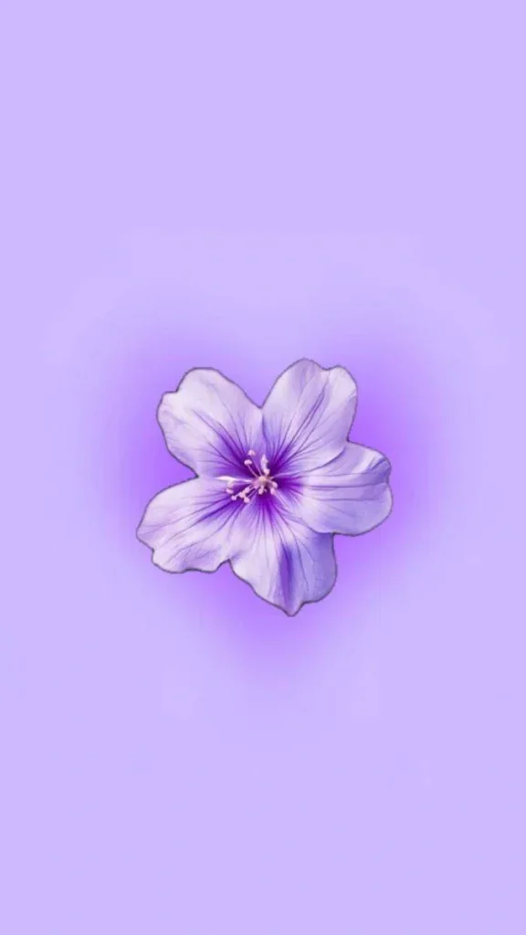 Purple Flower PFP
