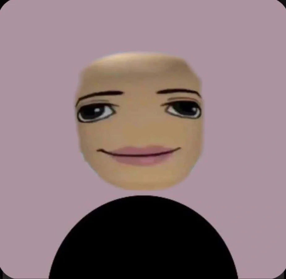 Roblox Pfp Funny
